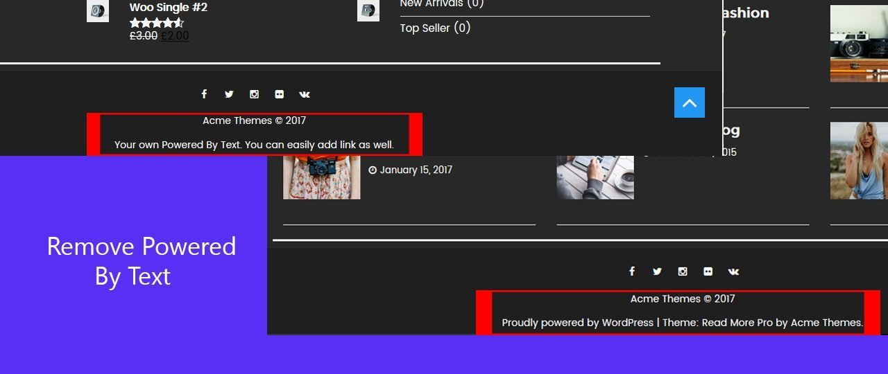Thesis theme custom footer