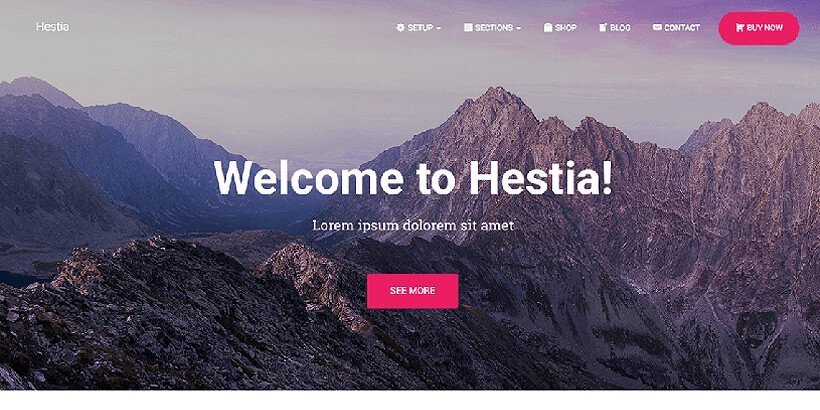 hestia-free-wordpress-theme