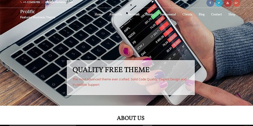 prolific free wordpress business themes