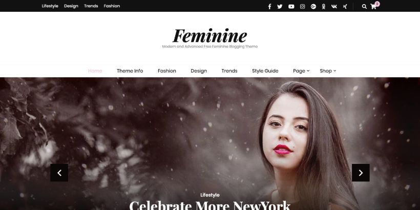 Blossom-Feminine-WordPress-Theme