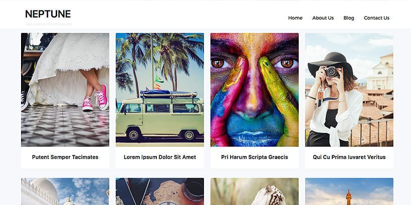 neptune free portfolio wordpress themes