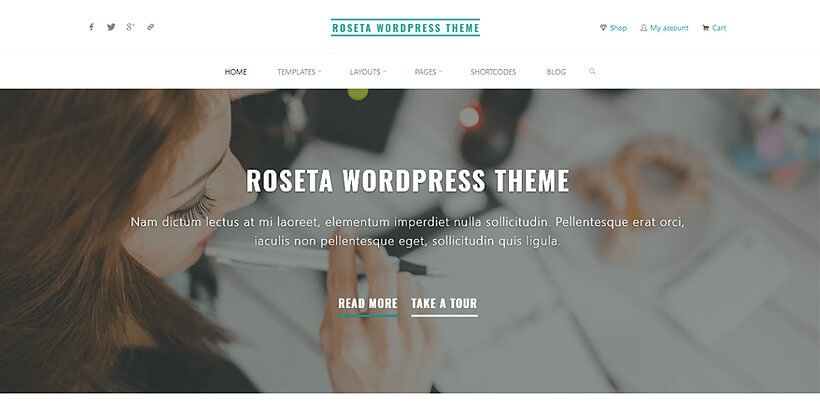 roseta gratis portfolio wordpress themes