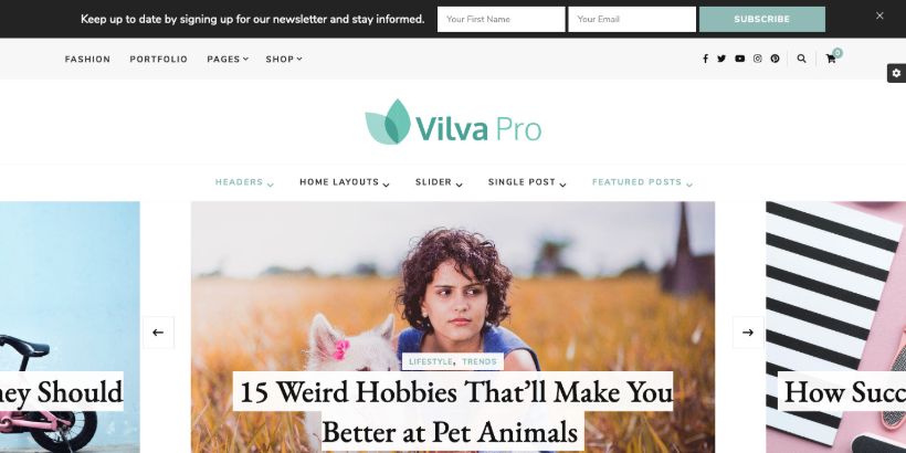 Vilva-Pro-WordPress-Theme