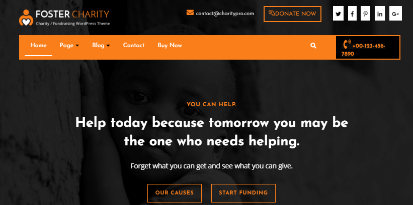 foster-charity-pro-wordpress-theme-ngo-ingo-non-profit-fundraising