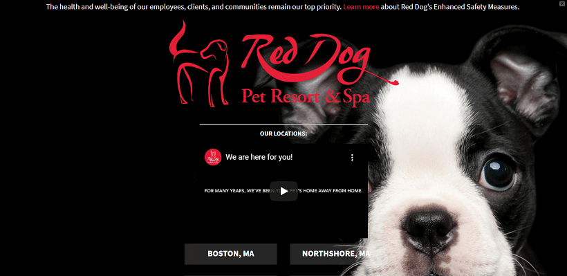 red-dog-pet-resort-website-built-with-avada