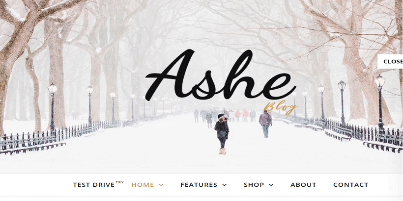 Ashe-Best-WordPress-Theme-for-fashion-blogs