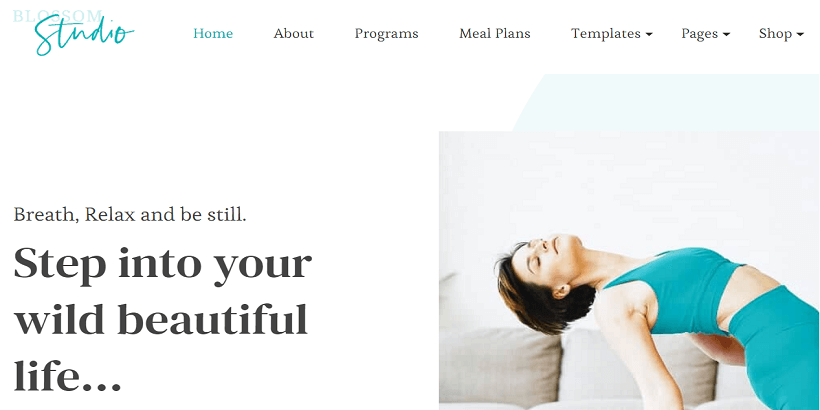 Blossom-Studio-Pro-Best-Yoga-WordPress-Themes-for-Wellness-Websites