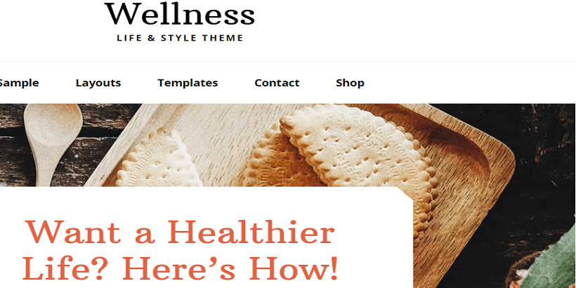 Wellness-Pro-Best-Yoga-WordPress-Themes-for-Wellness-Websites
