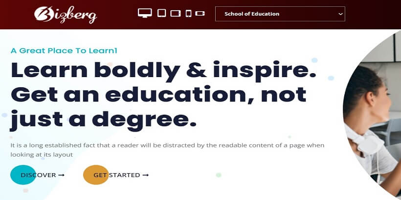 school of education-Best-WordPress-Themes-for-Selling-Books