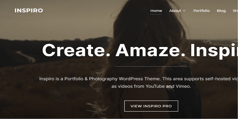 Free full screen WordPress themes