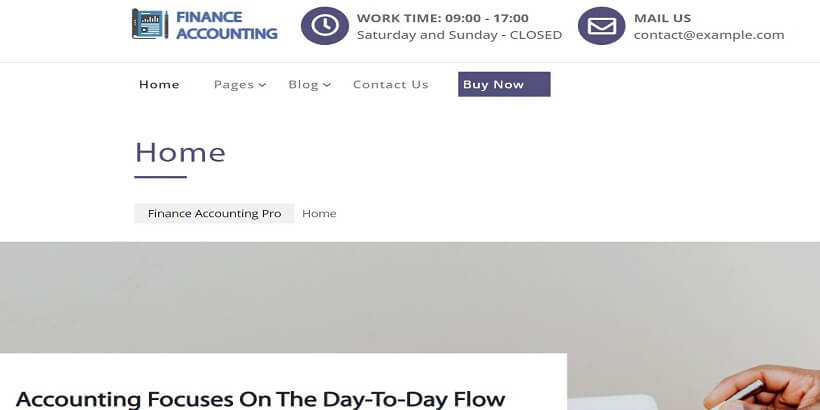 Financial Accounting-Best-Free-Accounting-WordPress-Themes 