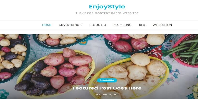 EnjoyStyle-Best-Free-WordPress-Themes-for-Content-Creators-and-Marketers
