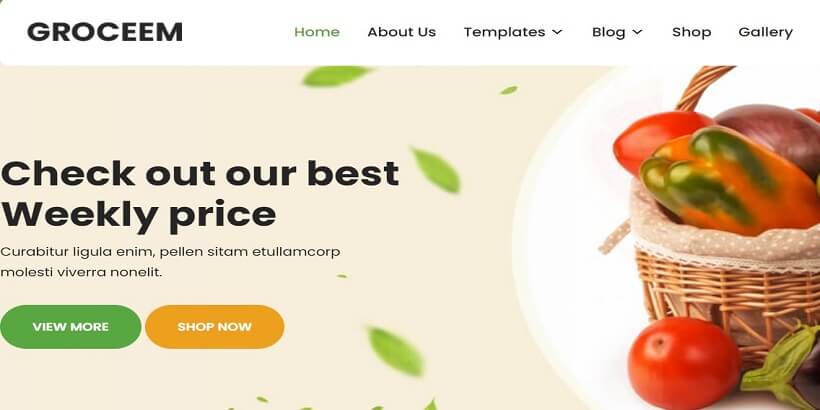Groceem-Lite-Best-Free-Grocery-Stores-WordPress-Themes