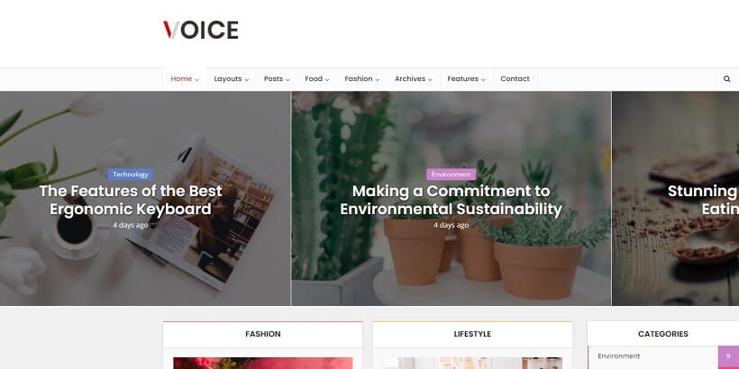 Voice-Best-Amazon-Affiliate-WordPress-Themes