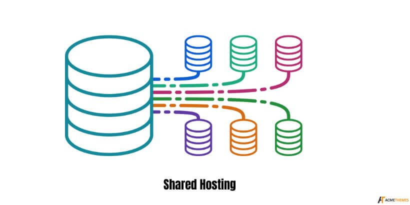 Shared hosting-Shared-Hosting-VS-WordPress-Hosting:-Which-is-the-Better-Option?