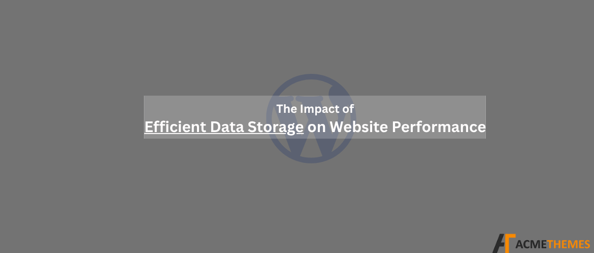 The-Impact-of-Efficient-Data-Storage-on-Website-Performance