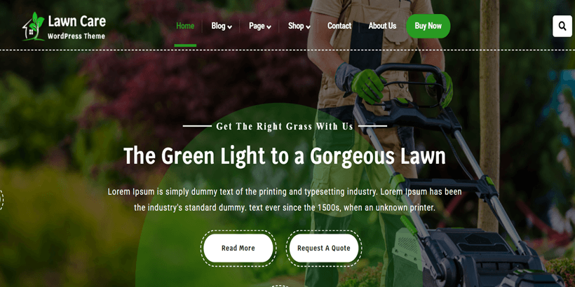 Lawn-Care-