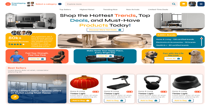Dropshipping-Shop-