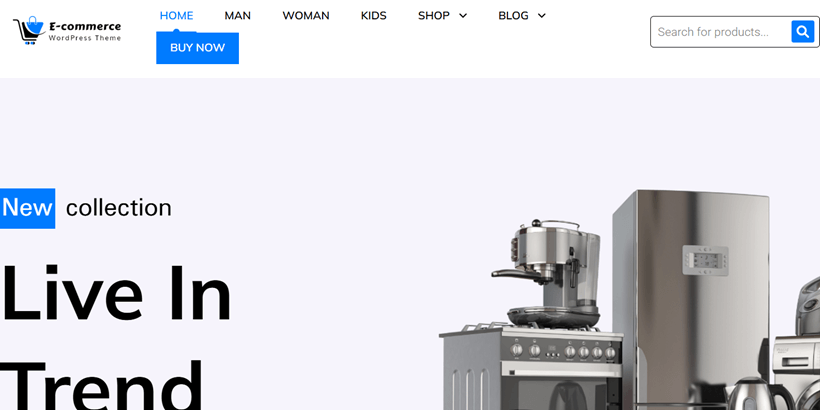 Ecommerce-Store-Elementor-