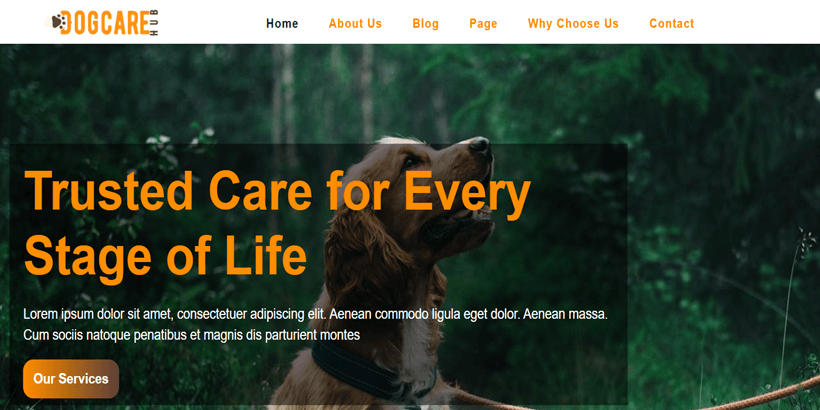 Dogcare-Hub-